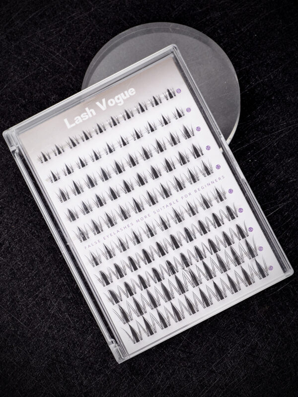 False Eyelashes 1