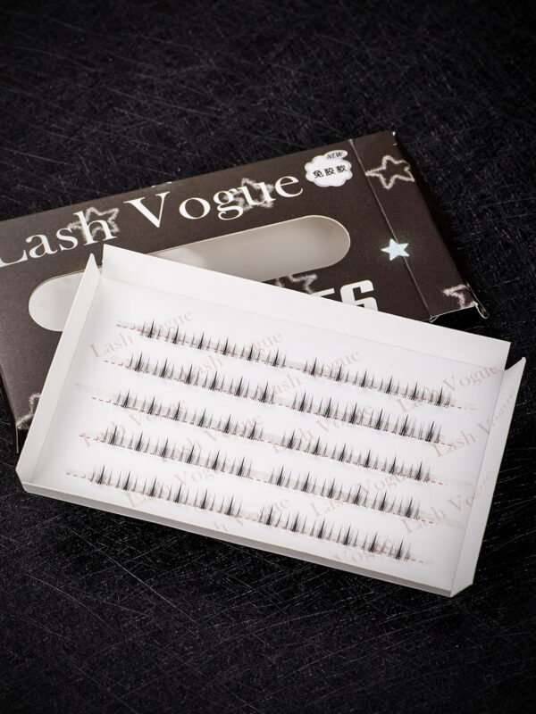 False Eyelashes 5